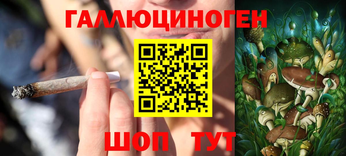 Когалым  Псилоцибиновые грибы мицелий  Вход с VPN 